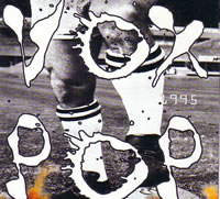 <a href='/discografia/vox-pop-1995/14'>Vox Pop 1995</a>